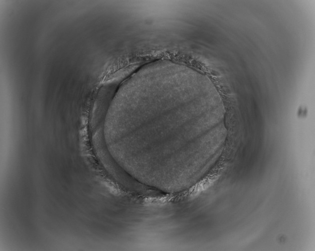 X0000098070192200805021006