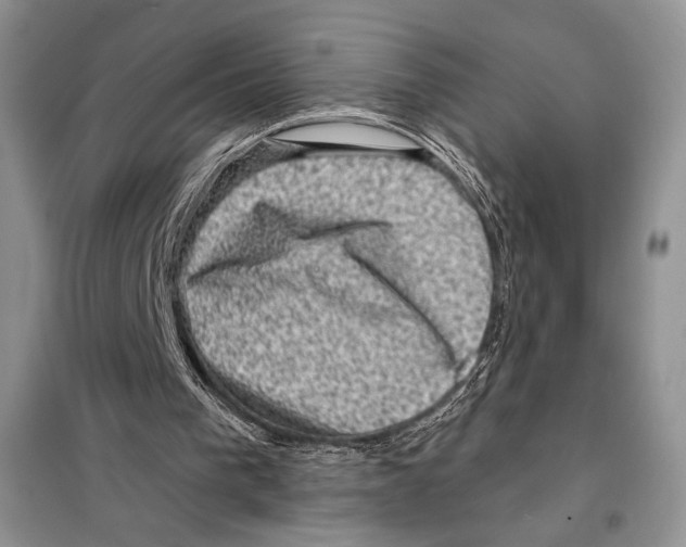 X0000098070193200805021006