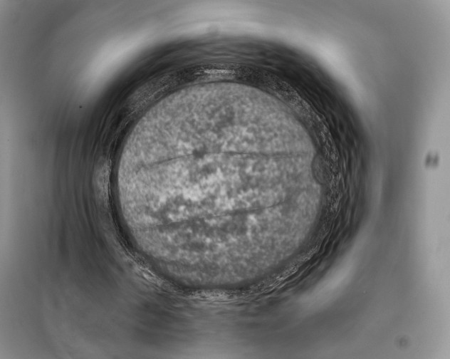 X0000098070194200805021005