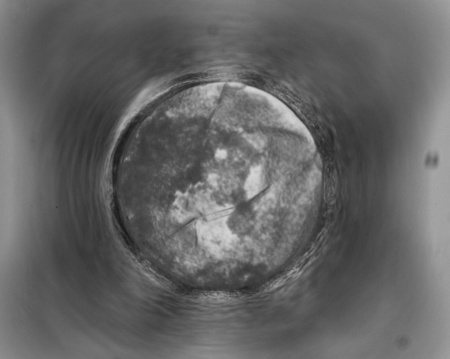 X0000098070198200805021005