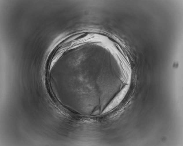 X0000098070199200805021005