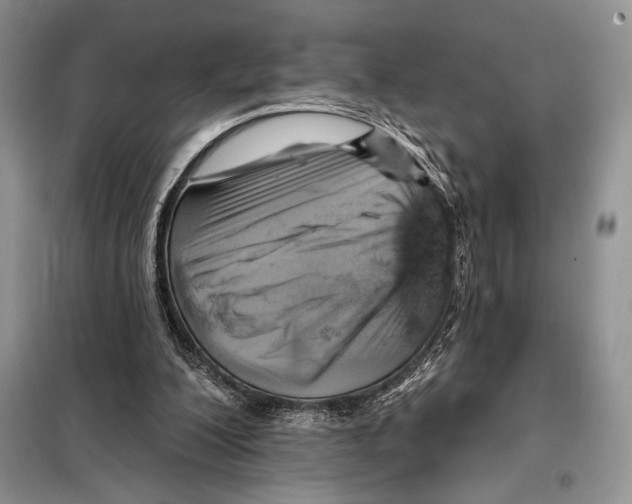 X0000098070200200805021005