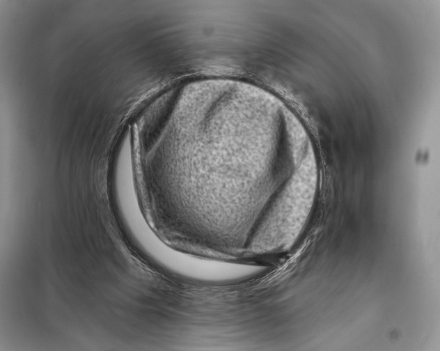 X0000098070201200805021005