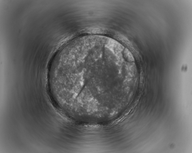 X0000098070202200805021005