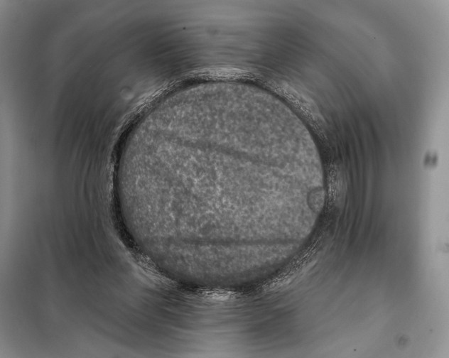 X0000098070206200805021005