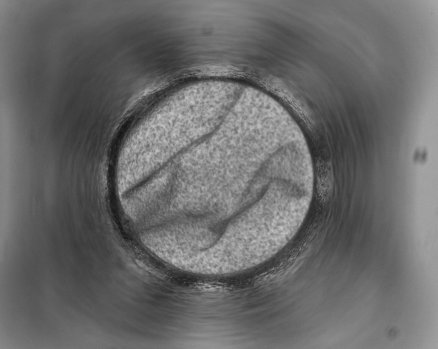 X0000098070207200805021005