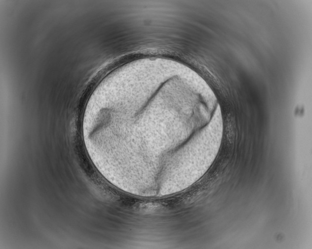 X0000098070208200805021005