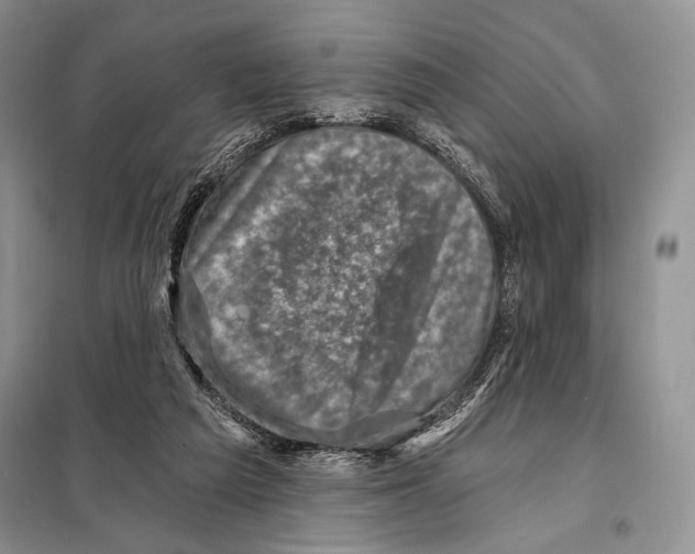 X0000098070209200805021005