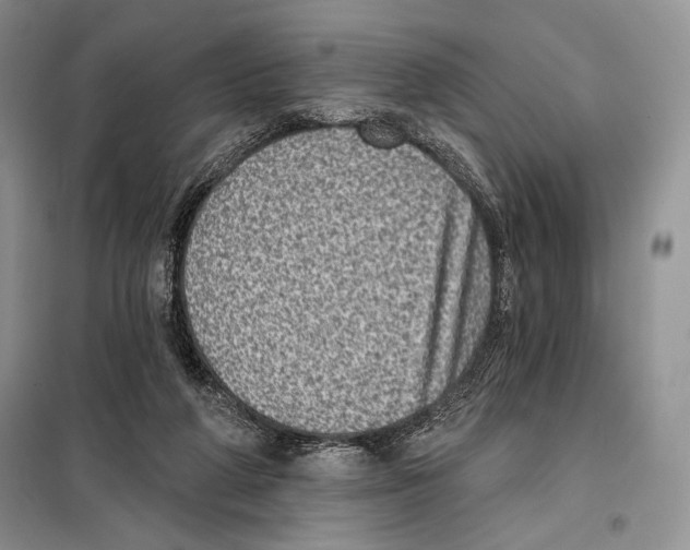 X0000098070210200805021005