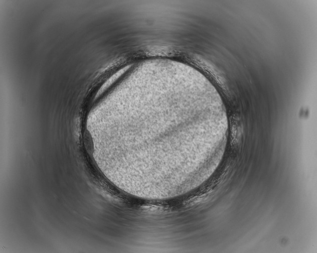 X0000098070211200805021005