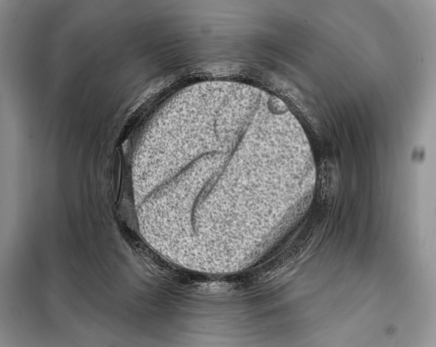 X0000098070212200805021005