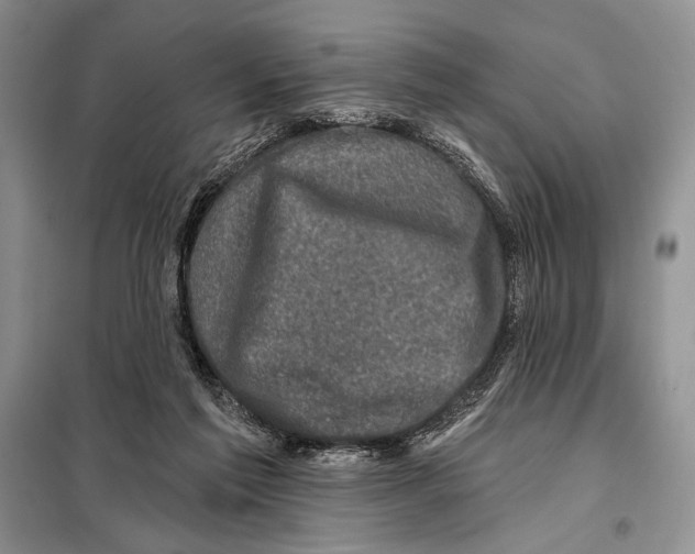 X0000098070213200805021005