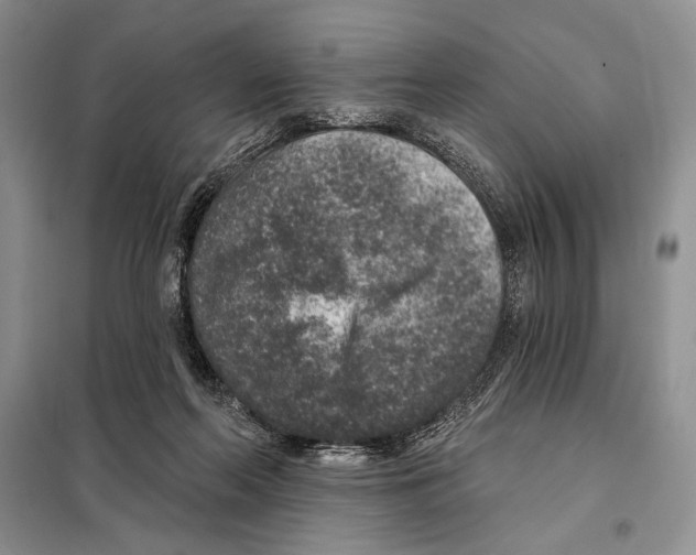 X0000098070214200805021005