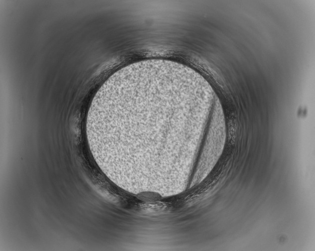 X0000098070215200805021005