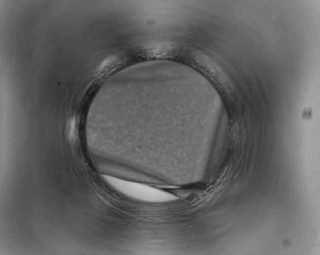 X0000098070217200805021005