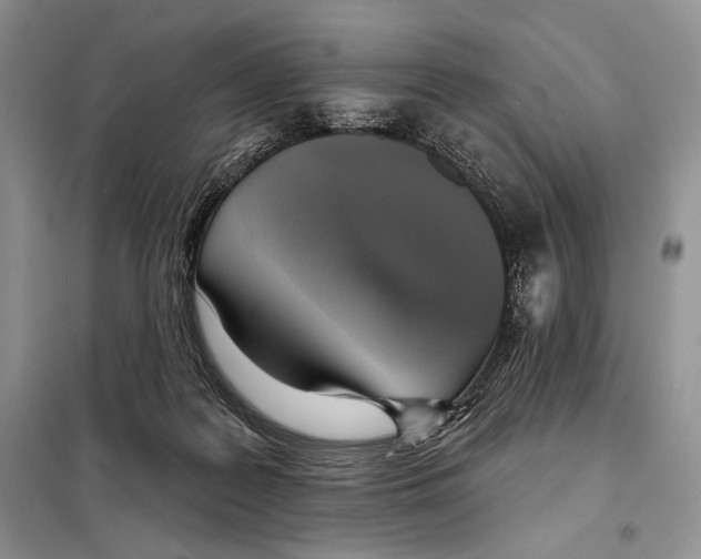 X0000098070219200805021005