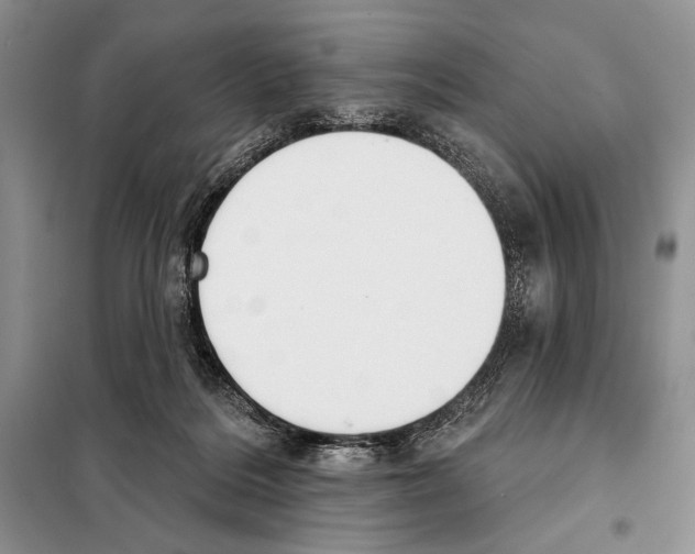 X0000098070220200805021005