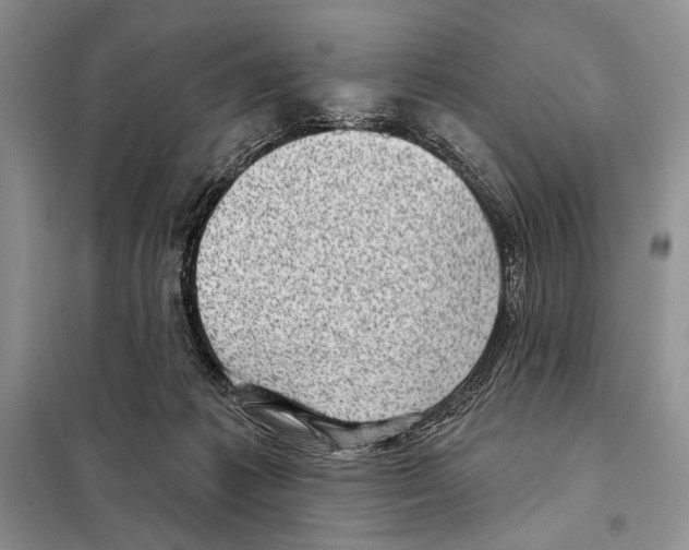 X0000098070221200805021005