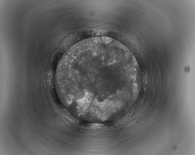 X0000098070222200805021005