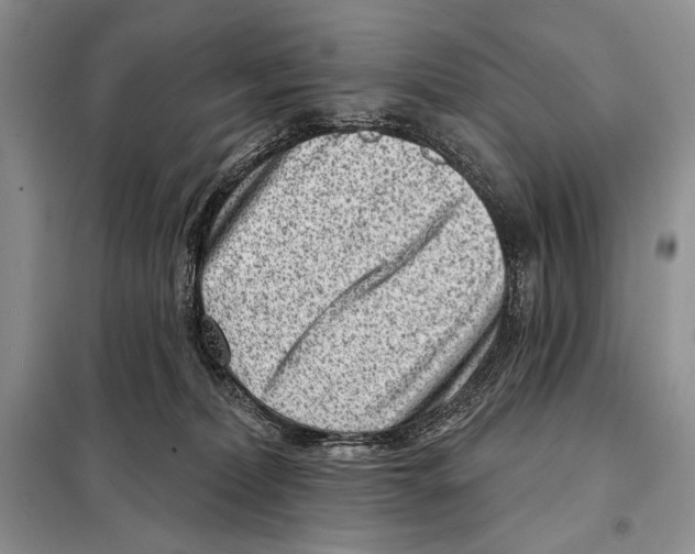 X0000098070228200805021005