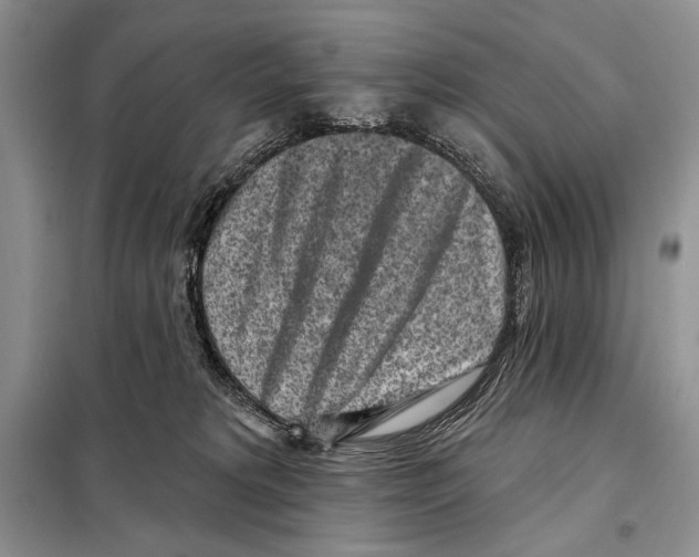 X0000098070229200805021005