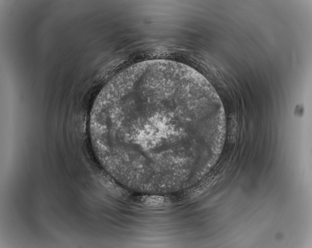 X0000098070230200805021005