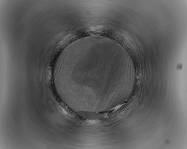 X0000098070231200805021005