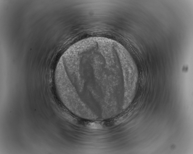 X0000098070232200805021005