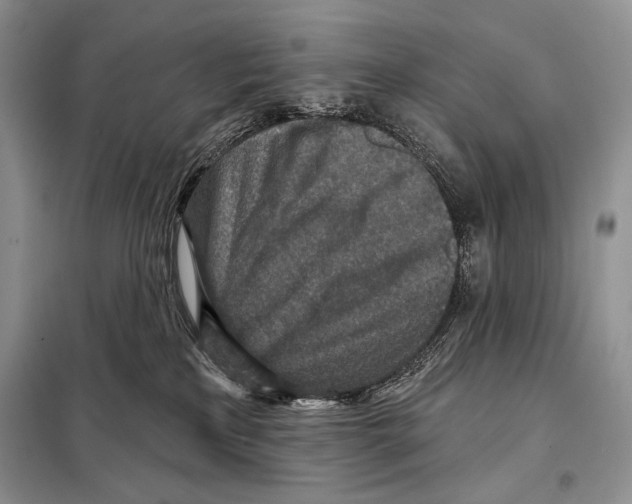 X0000098070233200805021005