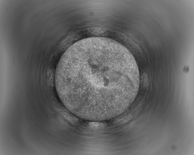 X0000098070234200805021005