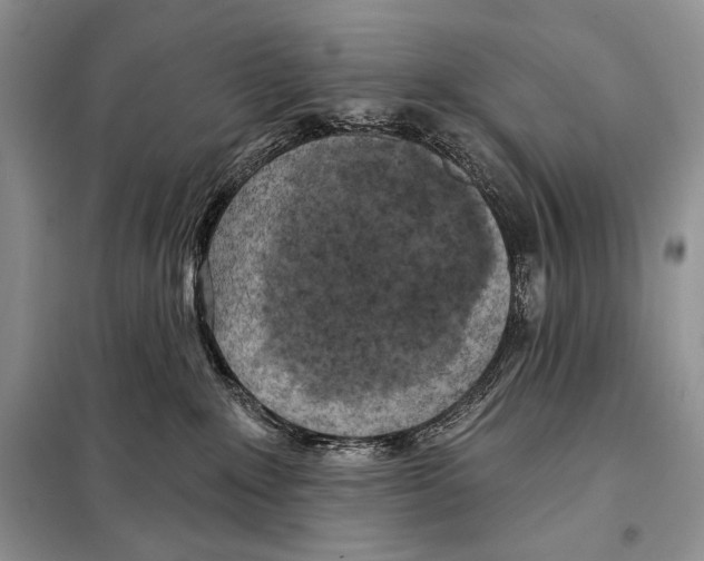 X0000098070235200805021005