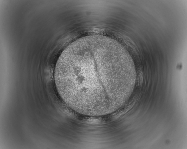 X0000098070236200805021005