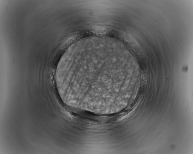 X0000098070237200805021005