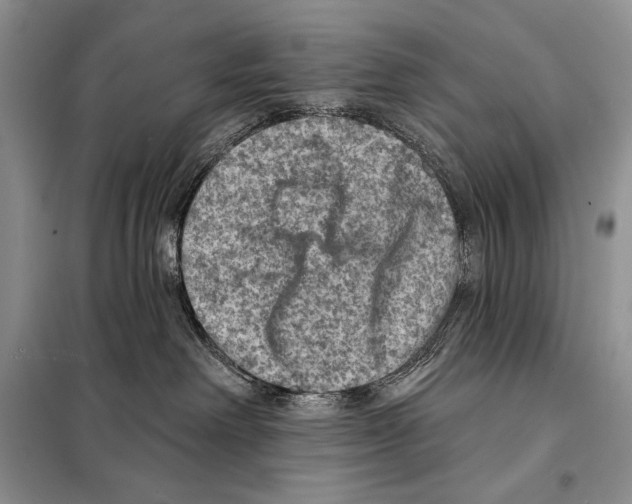 X0000098070238200805021005