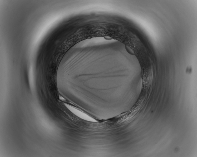 X0000098070239200805021005