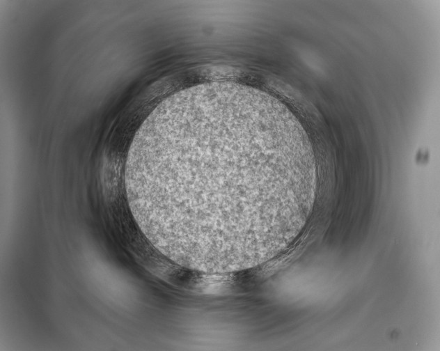 X0000098070240200805021005