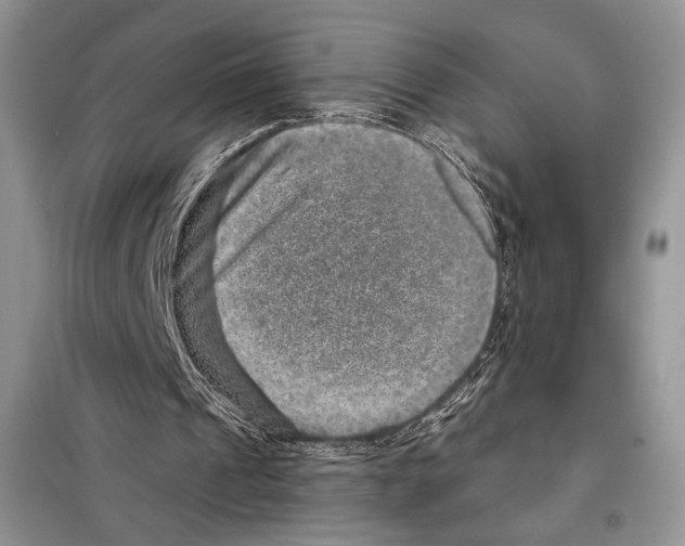 X0000098070241200805021004