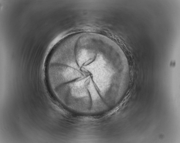 X0000098070246200805021004