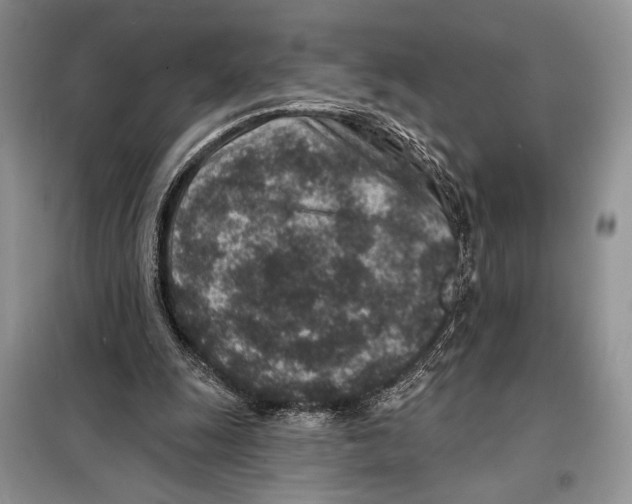 X0000098070247200805021004