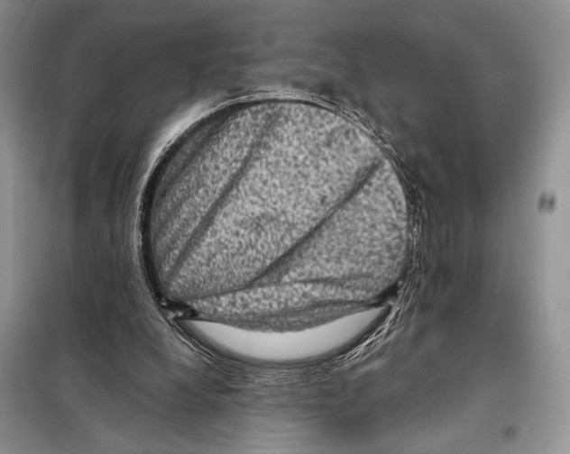 X0000098070248200805021004