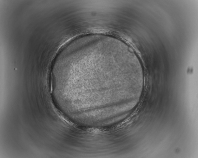 X0000098070249200805021004