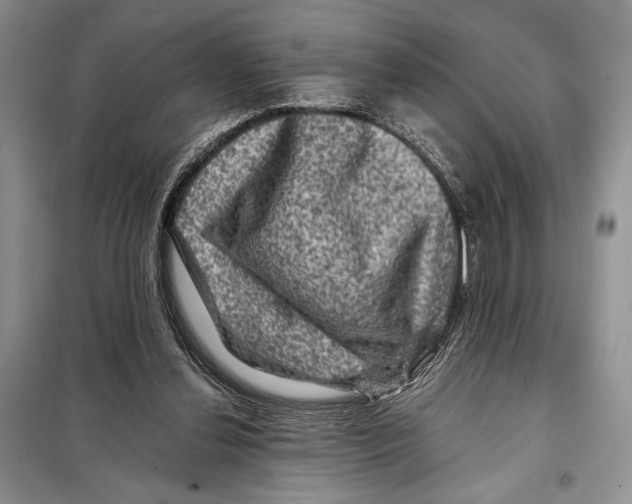 X0000098070252200805021004