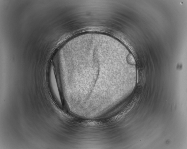 X0000098070253200805021004