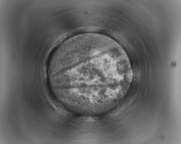 X0000098070254200805021004