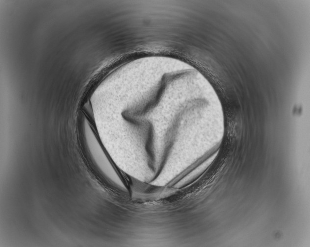 X0000098070256200805021004