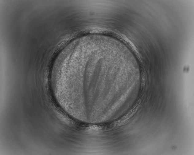 X0000098070257200805021004