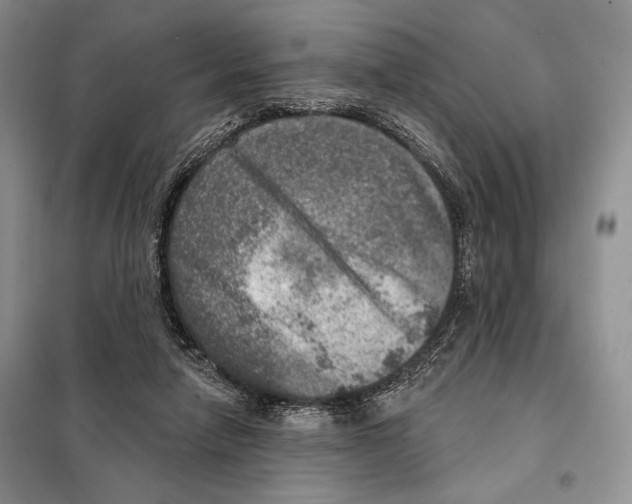 X0000098070258200805021004