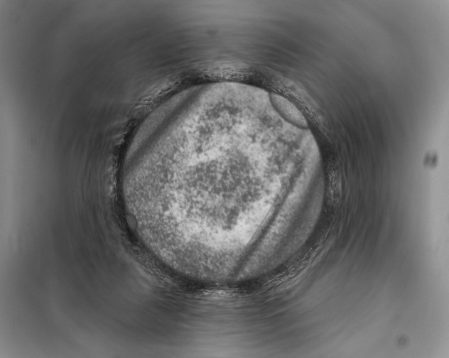 X0000098070259200805021004