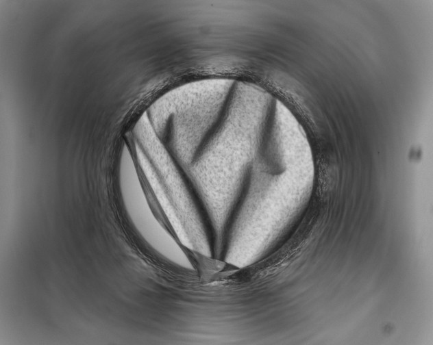 X0000098070260200805021004