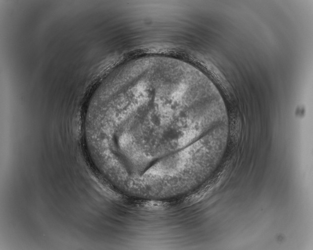 X0000098070261200805021004